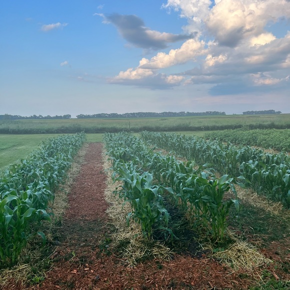 Meet your Posher, Bertha great! Deals on bundles!! - Picture 4 of 15